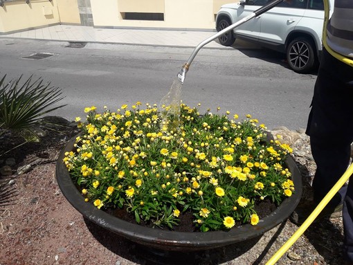 Come cambia il verde pubblico da Diano Marina a Bergeggi?