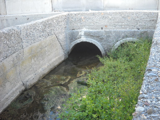 Albenga, terminata la pulizia del rio Cadano