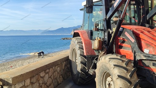 Gli operai a lavoro sulla spiaggia tra Castelletto e San Donato lunedì scorso