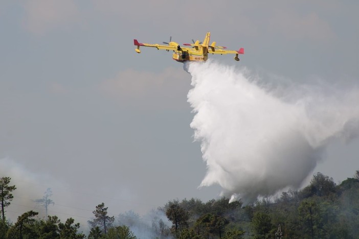 Incendi, Canadair fisso al'aeroporto di Villanova di Albenga: approvato l'Ordine del giorno presentato da Arboscello (Pd)