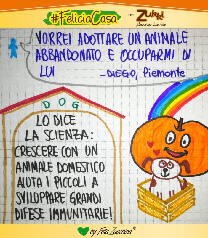 FavoleaCasa: Fata Zucchina legge e commenta &quot;il prezzo del cagnolino&quot;, racconto per l'anima