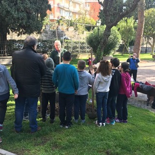 Alassio, Comune e scuole hanno celebrato la festa degli alberi