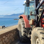 Gli operai a lavoro sulla spiaggia tra Castelletto e San Donato lunedì scorso