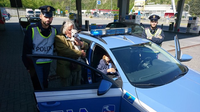 Perdono il loro cane sull'autostrada Genova-Ventimiglia e si sentono male, intervento della Polizia Stradale