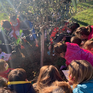 Festa degli Alberi, gli alunni delle scuole piantano un ulivo nel giardino della Pagoda