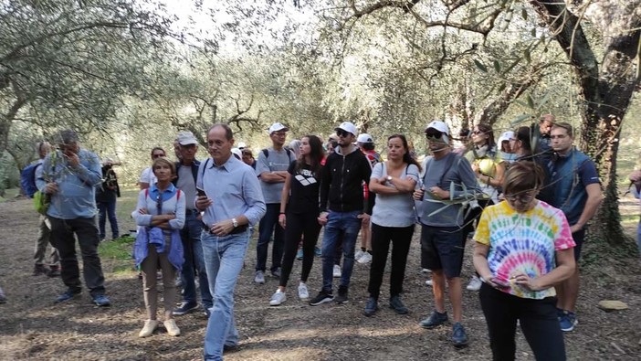 Domenica 29 ottobre ad Andora ritorna la Camminata fra gli ulivi