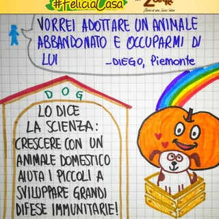 FavoleaCasa: Fata Zucchina legge e commenta &quot;il prezzo del cagnolino&quot;, racconto per l'anima