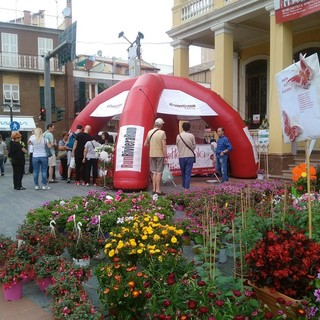 Ottimo debutto e grande partecipazione di pubblico per la Floricola di Borghetto (FOTO e VIDEO)