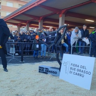 Fiera del Bue Grasso di Carrù: un successo che dura da 113 anni (Video)