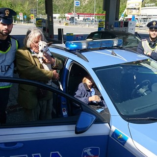 Perdono il loro cane sull'autostrada Genova-Ventimiglia e si sentono male, intervento della Polizia Stradale