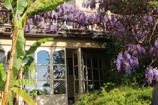Alassio, Festival di Cucina con i fiori, alla scoperta del giardino delle meraviglie: ecco Villa della Pergola  (FOTO e VIDEO)