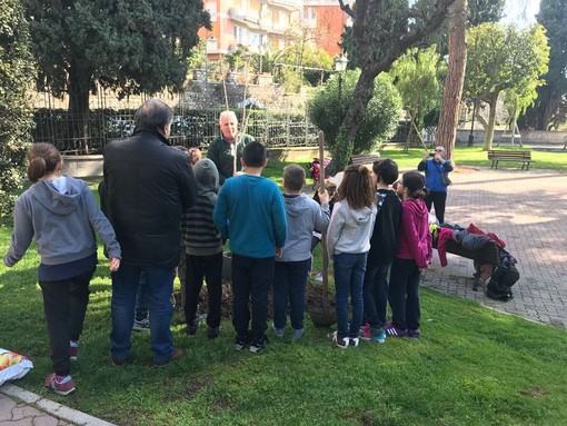 Alassio, Comune e scuole hanno celebrato la festa degli alberi