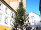 Albenga: il Comune festeggia il suo albero di Natale