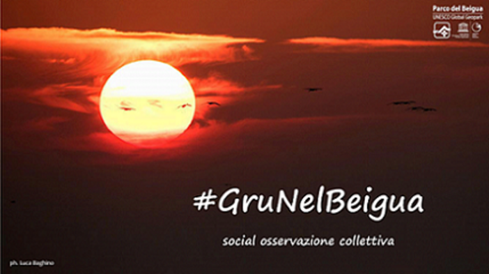 Birdwatching: al via il monitoraggio social di #GruNelBeigua
