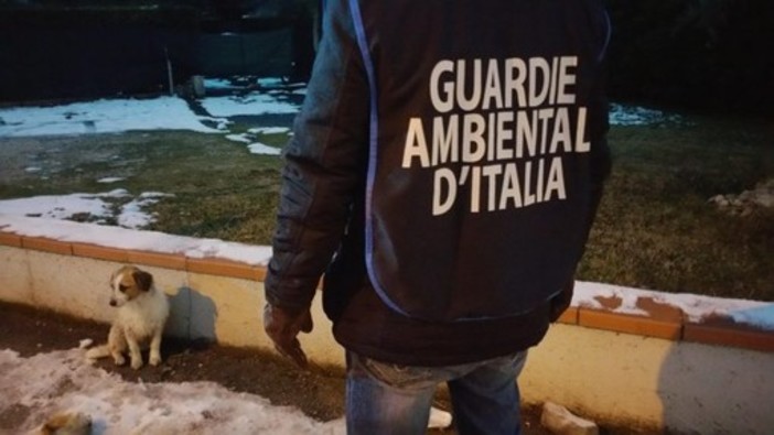 1° Corso di formazione GADIT per guardia ecozoofila della delegazione di Savona