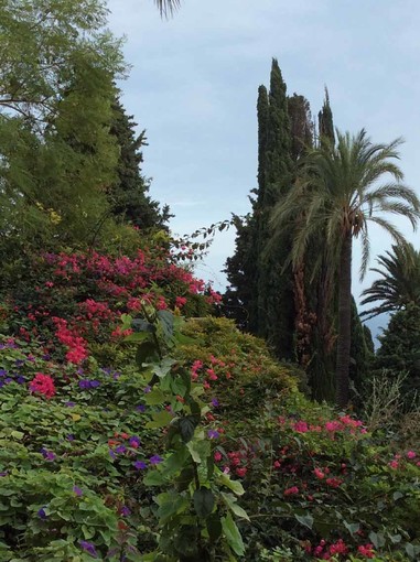 Alassio, ultimi due weekend di apertura per i Giardini di Villa della Pergola