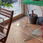 Savona, spaccano la vetrata e rubano il fondo cassa: ladri colpiscono la Gastronomia Bazzino (FOTO)