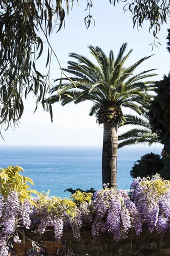 Alassio, sabato 7 e domenica 8 aprile visite guidate ai Giardini di Villa della Pergola