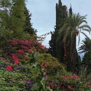 Alassio, ultimi due weekend di apertura per i Giardini di Villa della Pergola