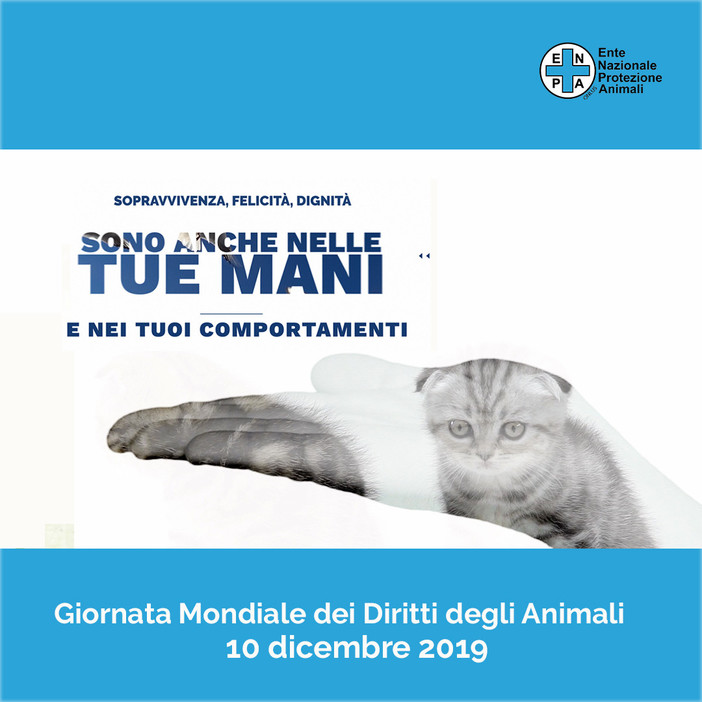 Oggi, 10 dicembre, si celebra la Giornata Mondiale per i Diritti degli Animali