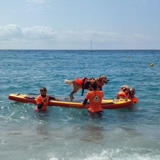 Spotorno ospita il Sail Camp: vela, nuoto e cani da salvamento per i bambini diabetici