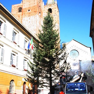 Albenga: il Comune festeggia il suo albero di Natale