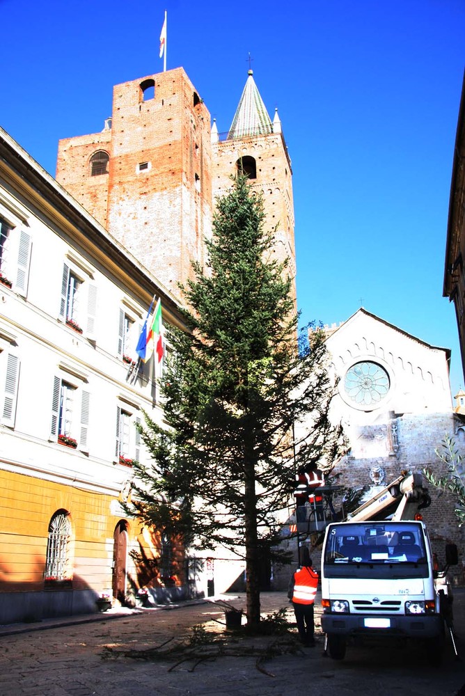 Albenga: il Comune festeggia il suo albero di Natale
