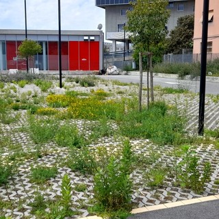 Il parcheggio di Parco Doria