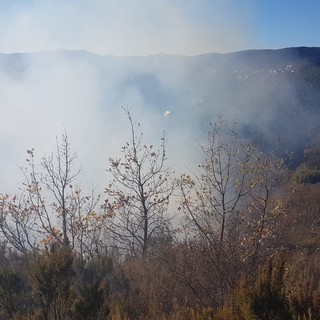 Siccità, l'appello del consigliere spotornese Spiga contro gli incendi: &quot;Pensiamo anche agli animali&quot;