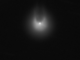 In arrivo la cometa 12P/ Pons – Brooks, l'Associazione Astrofili Orione: &quot;La aspettavamo per i primi di aprile ma forse si riuscirà ad osservarla già prima&quot;
