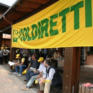 Da Cengio a Pistoia, il viaggio del palloncino giallo della Coldiretti di &quot;Zucca in Piazza&quot;