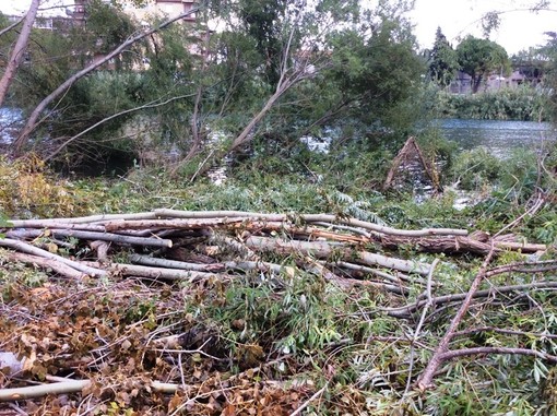 Arrivo delle precipitazioni autunnali, Confagricoltura: &quot;E' il momento di prevenire pulendo gli alvei&quot;