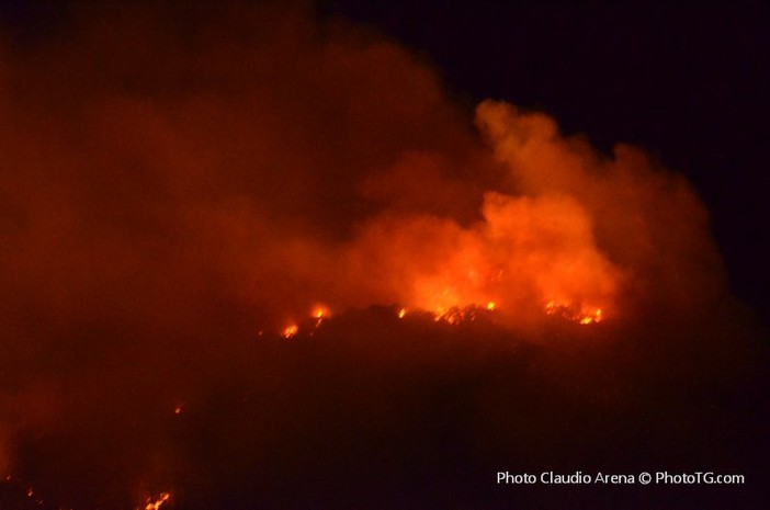 Incendio di Vado, l'Enpa ricorda la strage di animali