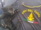 Savona: gattino intrappolato nel vano motore di una macchina, salvato dai vigili del fuoco