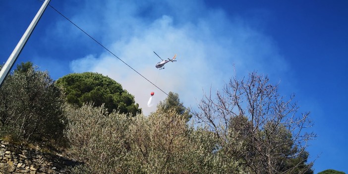 Alassio, spento l'incendio boschivo divampato nella zona di Moglio: bonifica in corso (FOTO)