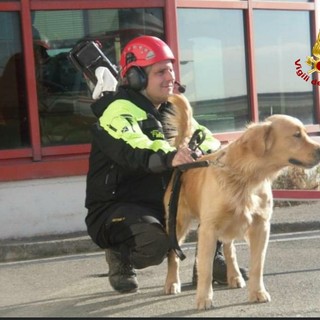 Addio a Lucky, il cane vigile del fuoco del Nucleo Cinofili Liguria