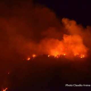 Incendio di Vado, l'Enpa ricorda la strage di animali