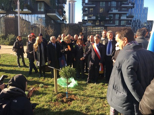 Milano, piantato un piccolo ulivo per la pace