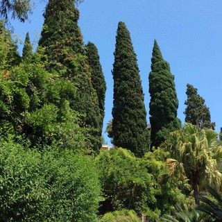 Villa Pergola ad Alassio: un'estate tra i colori e profumi della Riviera