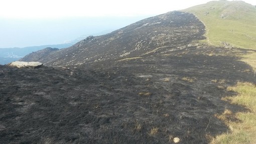 Prevenzione incendi boschivi, il Parco del Beigua riceve un finanziamento da 550 mila euro