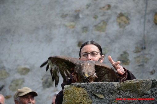 Liberation Day dell'Enpa