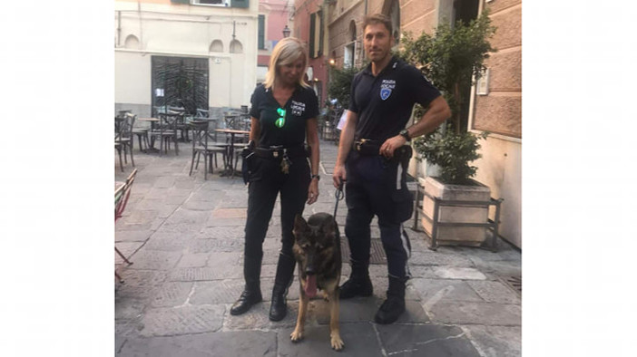 Albenga, un piano specifico di controllo del territorio messo a punto dalla Polizia Locale