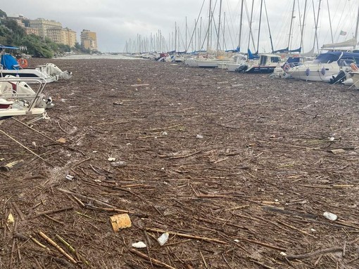 Coldiretti: &quot;Il maltempo colpisce anche il mare&quot;