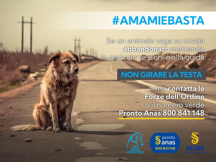 #AmamieBasta: Lndc Animal Protection e Anas insieme per la campagna antiabbandono animali e incidenti stradali