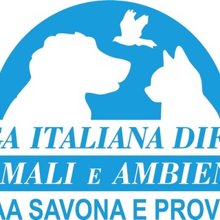 Savona, domani (25 febbraio) una raccolta alimentare pro animali promossa dalla Leidaa