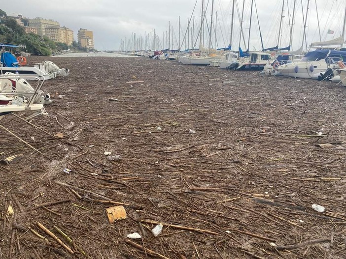 Coldiretti: &quot;Il maltempo colpisce anche il mare&quot;