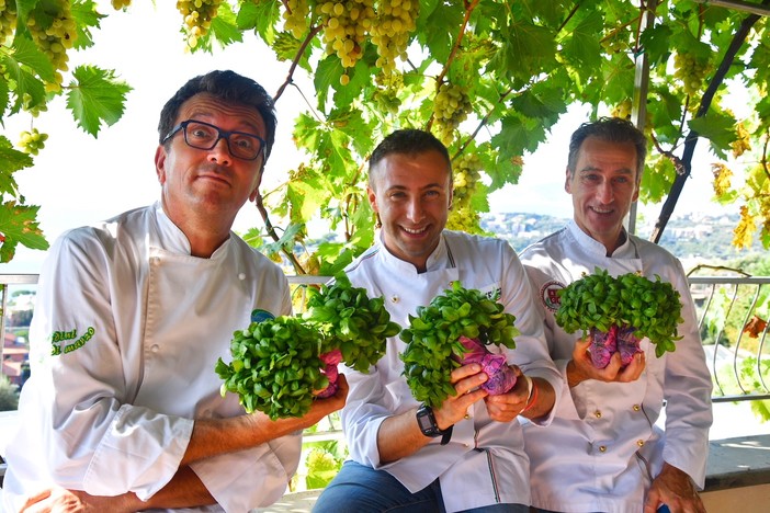 L'arte del gelato è al basilico savonese: tre finalisti al festival di Firenze