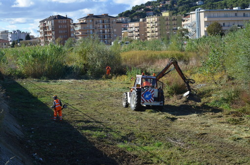 Andora, iniziata la pulizia del torrente Merula