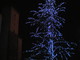 Millesimo: torna l'antica tradizione dell'Albero di Natale in piazza IV Novembre