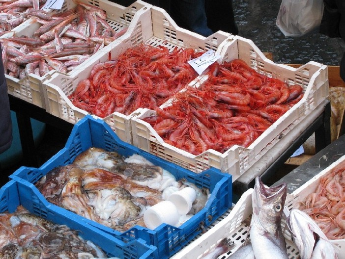 Enpa sull'iniziativa della Coop Liguria: &quot;Pesce ritrovato&quot; o perduto per sempre?